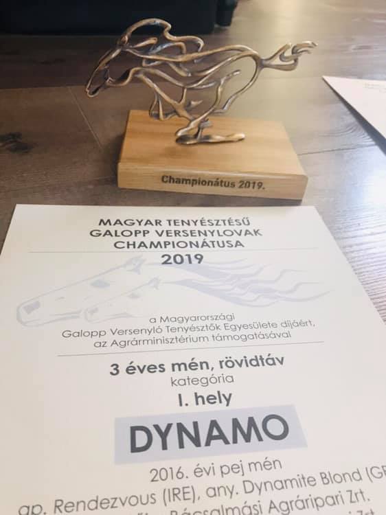 Dynamo díj.jpg